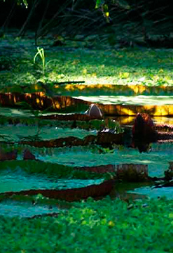 Naturaleza y aventura