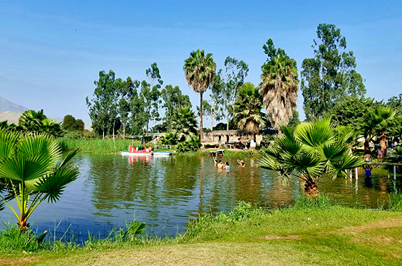 Ecotour_Aucallama_03032023_C-3.jpg