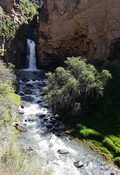 Entre cataratas