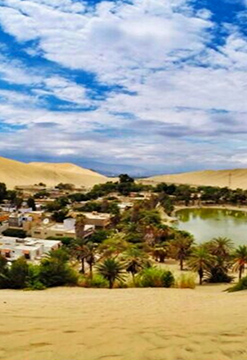 Full Day salidas diarias Paracas / Ica