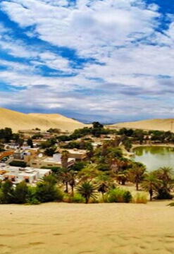 Full Day salidas diarias Paracas / Ica