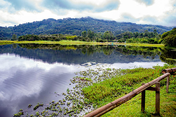FullOxapamapa_paraiso_03032023_C-2.jpg