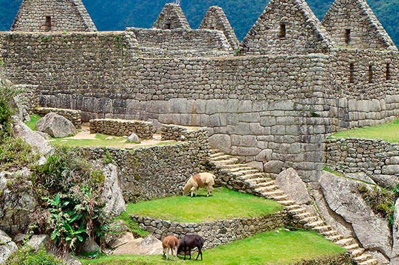 Fulldaycusco_Peruvianshades_23012023-C1.jpg