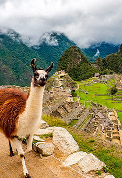 Full day Machupicchu Munaycha