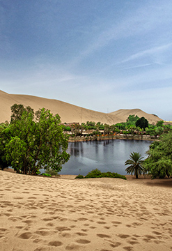 Ica Mágico Paracas -Huacachina