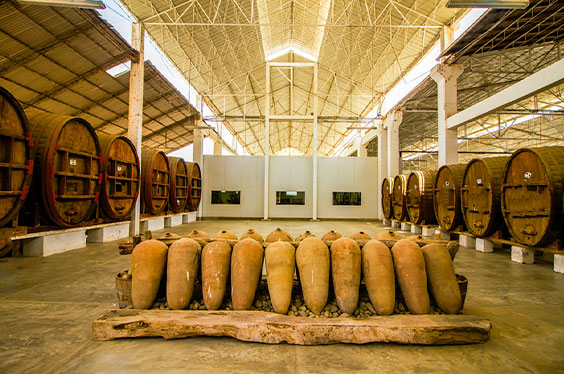 Ica-Paracas-para-aventureros-2-2C.jpg
