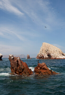 Aventura en Ica y Paracas