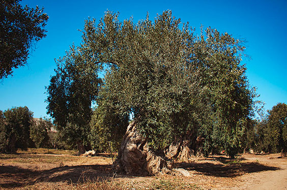 Ilo_Moquegua_Expotur_25012023_3C.jpg