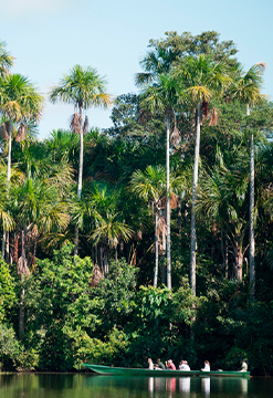 Inkaterra Reserva Amazónica