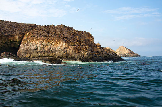 Islas_Palomino_13032023_C-1.jpg