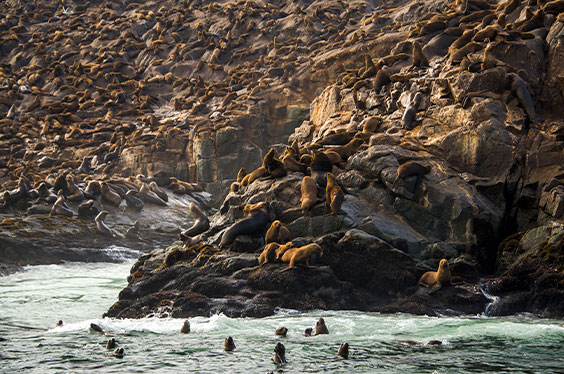 Islas_Palomino_13032023_C-2.jpg