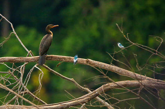 LagoSandoval_Collpa_13032023_C-2.jpg