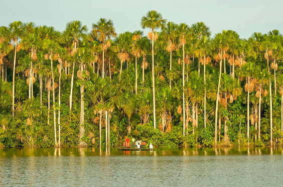 Lagosandoval_Manutambopata_24012023_3C.jpg