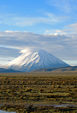 Laguna de Salina y Aguada Blanca