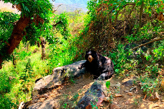 Lambayeque_PuriyMarka_25012023_2C-3.jpg