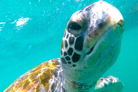 Mancora_PeruNorte_31012023_C-1.jpg