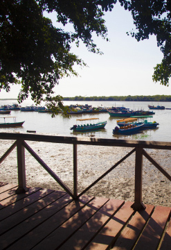 Manglares relajantes en Tumbes