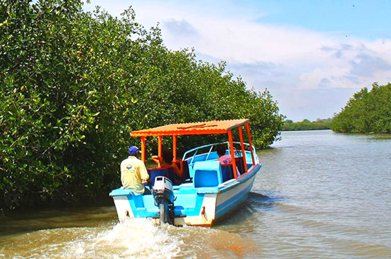 Manglares_PuertoPizarro_09032023_C-2.jpg