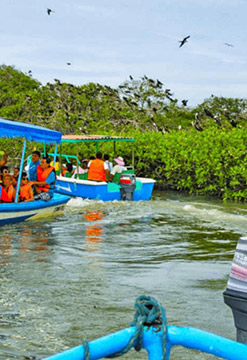 Manglares de Puerto Pizarro