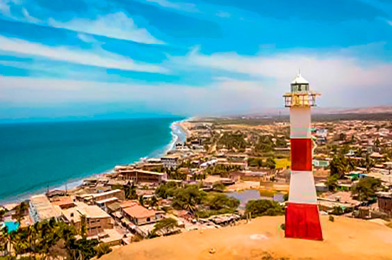 Nado_con-tortugas_13012023-1C-2.jpg