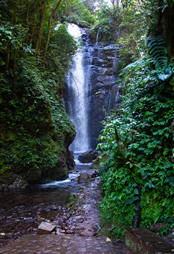 Oxapampa mágico y aventurero