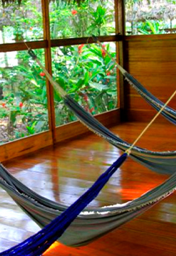 Pack integral en Ecolucerna Lodge Tambopata