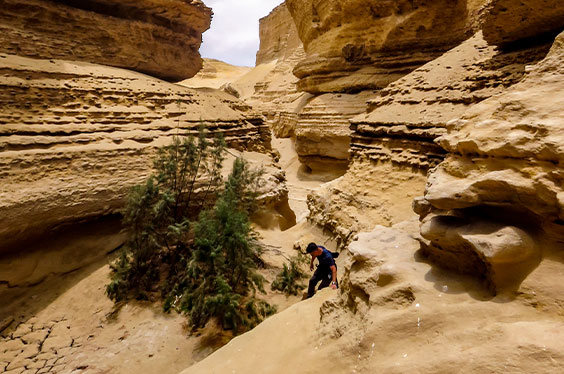 ParacasIca_Vinastravel_25012023_1C-3.jpg