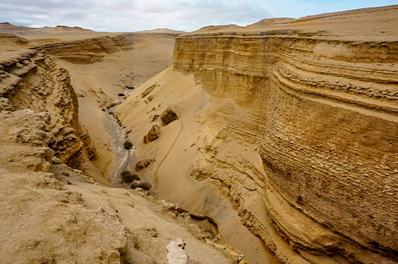 ParacasIca_Vinastravel_25012023_2C-3.jpg