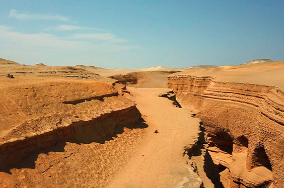 ParacasIca_Vinastravel_25012023_3C-3.jpg
