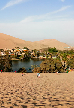 Naturaleza y adrenalina en Ica- Paracas