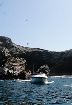 Paracas - Ica - Chincha desde Lima