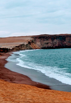 Paracas Encantador