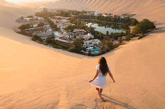 Paracas_Dolphintravell_25012023_2C.jpg