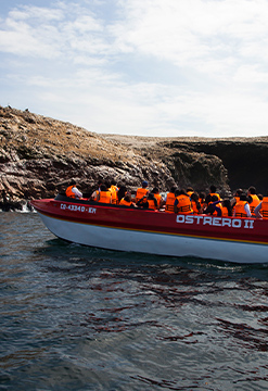 Ica y Paracas en una copa