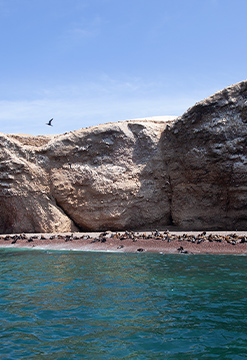 Tradición en Ica y sol en Paracas