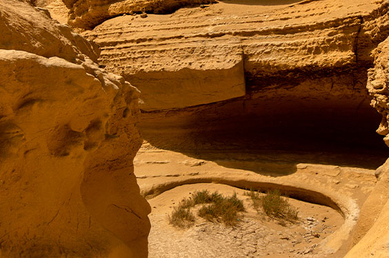 Perdidos_Viñas_25012023_2C.jpg