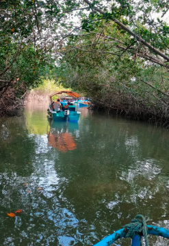 Catacaos, Máncora y Manglares de Tumbes