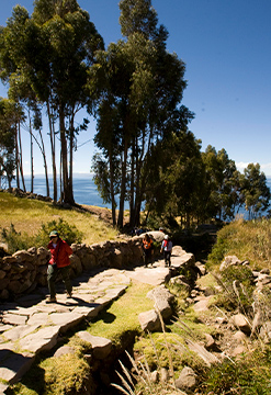 Puno encantador