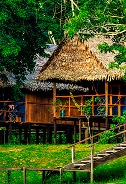 Bienvenido a la selva - río Amazonas