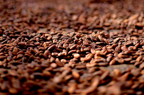 Ruta_Cacao_Piura_07032023_C-2.jpg