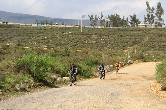 Rutadelpisco_2501223_2C-2.jpg