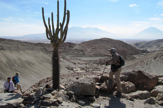 Rutadelpisco_2501223_2C.jpg