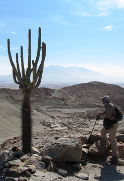 La ruta del Pisco - Camino Calderas