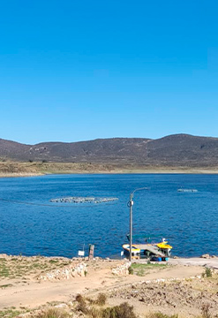 Laguna de Salinas y Aguada Blanca