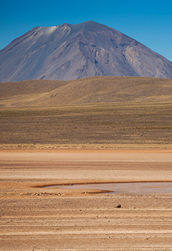 Tour a La Laguna de Salinas en Arequipa