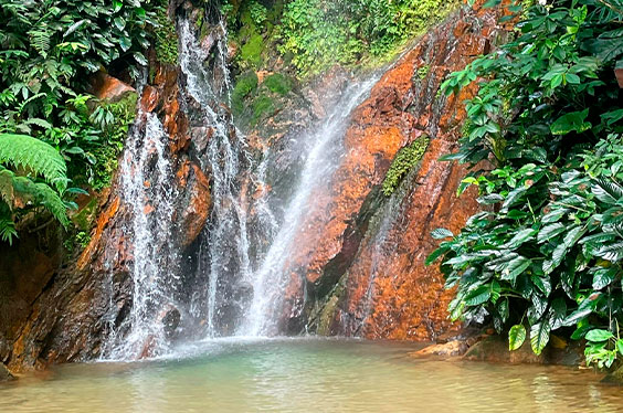 Saltodelasbrujas_AmazonGold_03022023_C-1.jpg