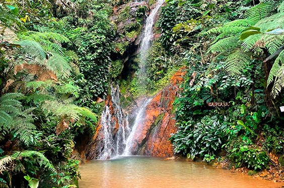 Saltodelasbrujas_AmazonGold_03022023_C-2.jpg