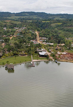Selva Majestuosa