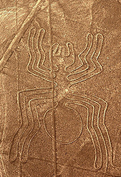 Sobrevuelo a las líneas de Nasca desde Nasca