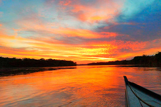 Tambopata_Greenhouse_03022023_C-2.jpg